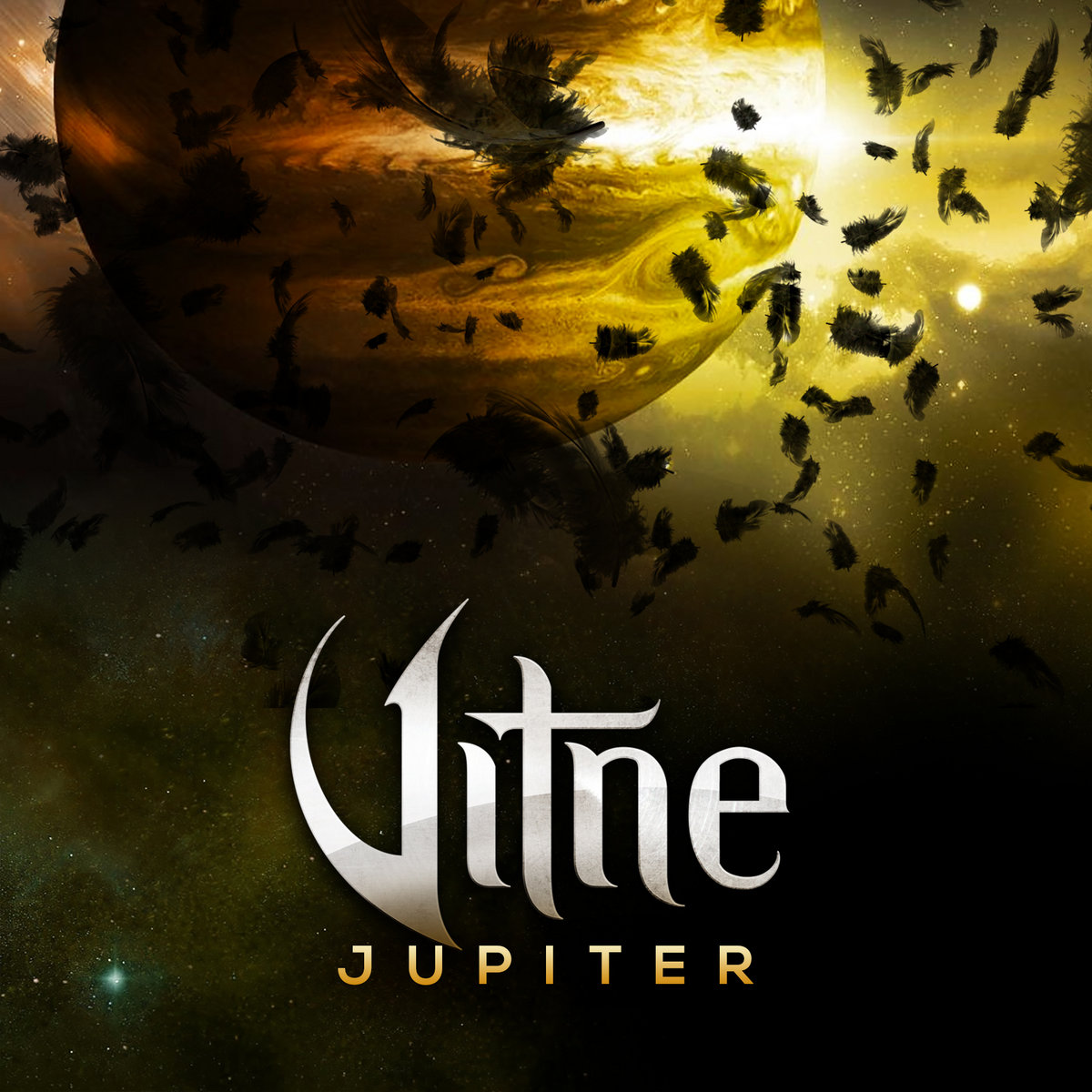 Vitne 