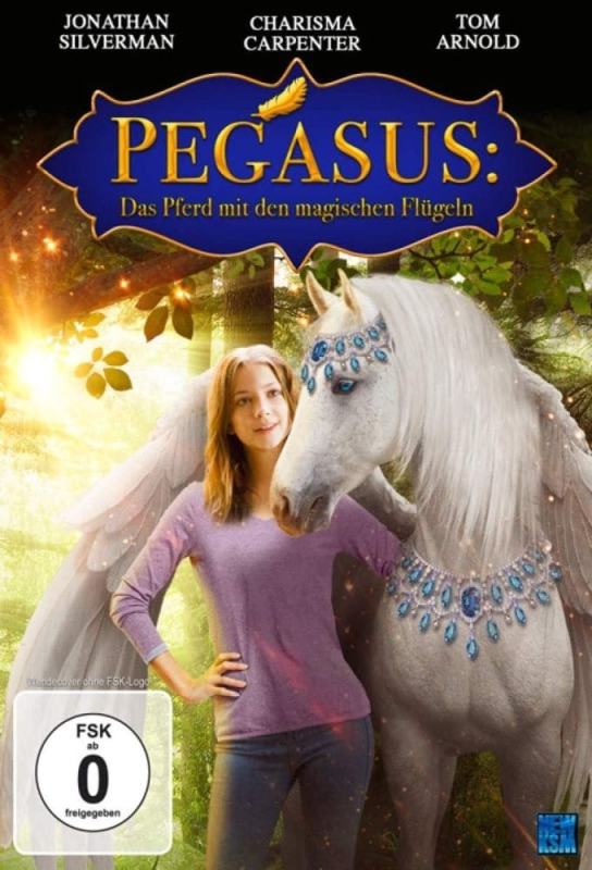 Pegasus - Pony With A Broken Wing
